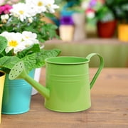 Fufafayo Indoor Plants Watering Can, Mini Watering Can For Houseplants With Long Spout, Small Watering Pot For Potted Plants, Decorative Garden Watering Can For Indoor Outdoor Use, Home Gardening
