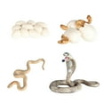 thumbnail image 2 of 3x animales de simulación modelo de ciclo de figuras de acción figurita regalo de bebé juguetes educativos para Baoblaze Juego de crecimiento para niños Cobra, 2 of 8