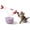 purple, variant on Flutter Butterfly Kitten Enrichment , Beige | Interactive Spinning with Sensor, 360? Rotating Butterfly, 2 Butterflies Included