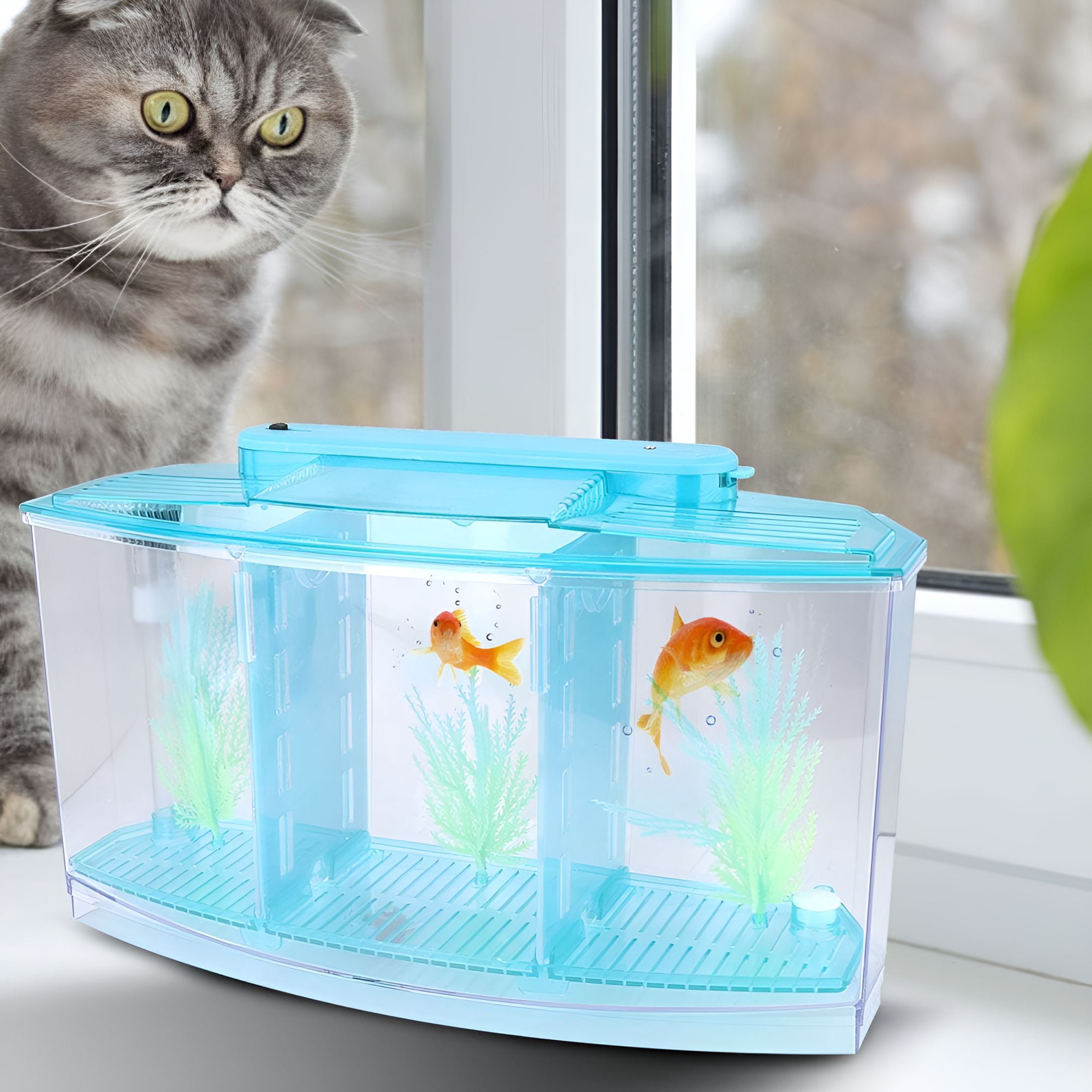 ACDANC Mini Aquarium Fish Tank with LED Light Divider Filter Betta Fish Tank for Small Fish, Betta, Shrimp Desktop Decoration 28x10x15cm