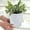 white-2, variant on geerera Plant Pots,Flower Pots with Multiple Drainage Holes and Saucers,Plastic Planters for All Home Garden Flowers Succulents