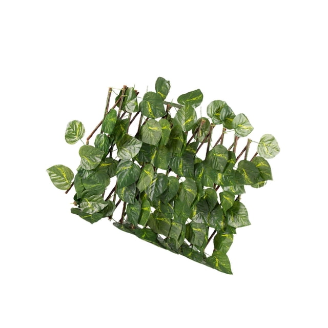 ziyahi Écran d'Intimité Rétractable pour Clôture de Jardin Extérieur Feuilles Persistantes