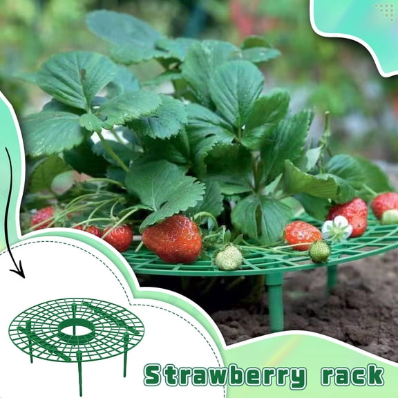 Sturdy Strawberry Plant Support Tray for Potted and Garden Plants, Anti-Lodging Frame to Prevent Leaf Rot, Durable Gardening Tool for Home Growers and Vegetable Patches