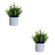 thumbnail image 4 of Bearachild 4 paquetes/lote fácil de limpiar planta falsa solución de bajo mantenimiento para plantas artificiales de interior bonsái de hojas Type1 NO1, 4 of 6