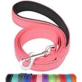 thumbnail image 1 of LAICAIW 4FT Reflective Dog Leash with Soft Padded Handle for Training,Walking Lead for Large & Medium Dog,1 Inch Wide,Neon Pink, 1 of 6