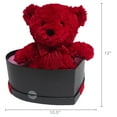 thumbnail image 2 of Bear Plush in Heart-Shaped Gift Box, Red, 12", Valentine's Day by Way To Celebrate, 2 of 5