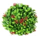 thumbnail image 2 of Plantas artificiales verdes con pequeñas bayas rojas y hojas verdes en un anillo decorativo., 2 of 6