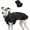 Black, variant on HQREA Reflective Warm Dog Coat for Large Dogs, Winter Pet Jacket with Fleece Lining