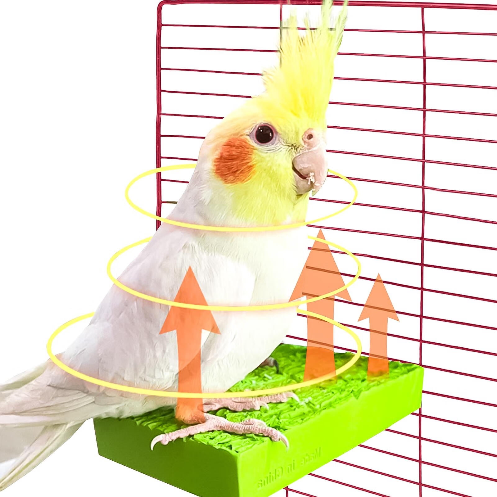 Are Bird Toys Safe For Chinchillas