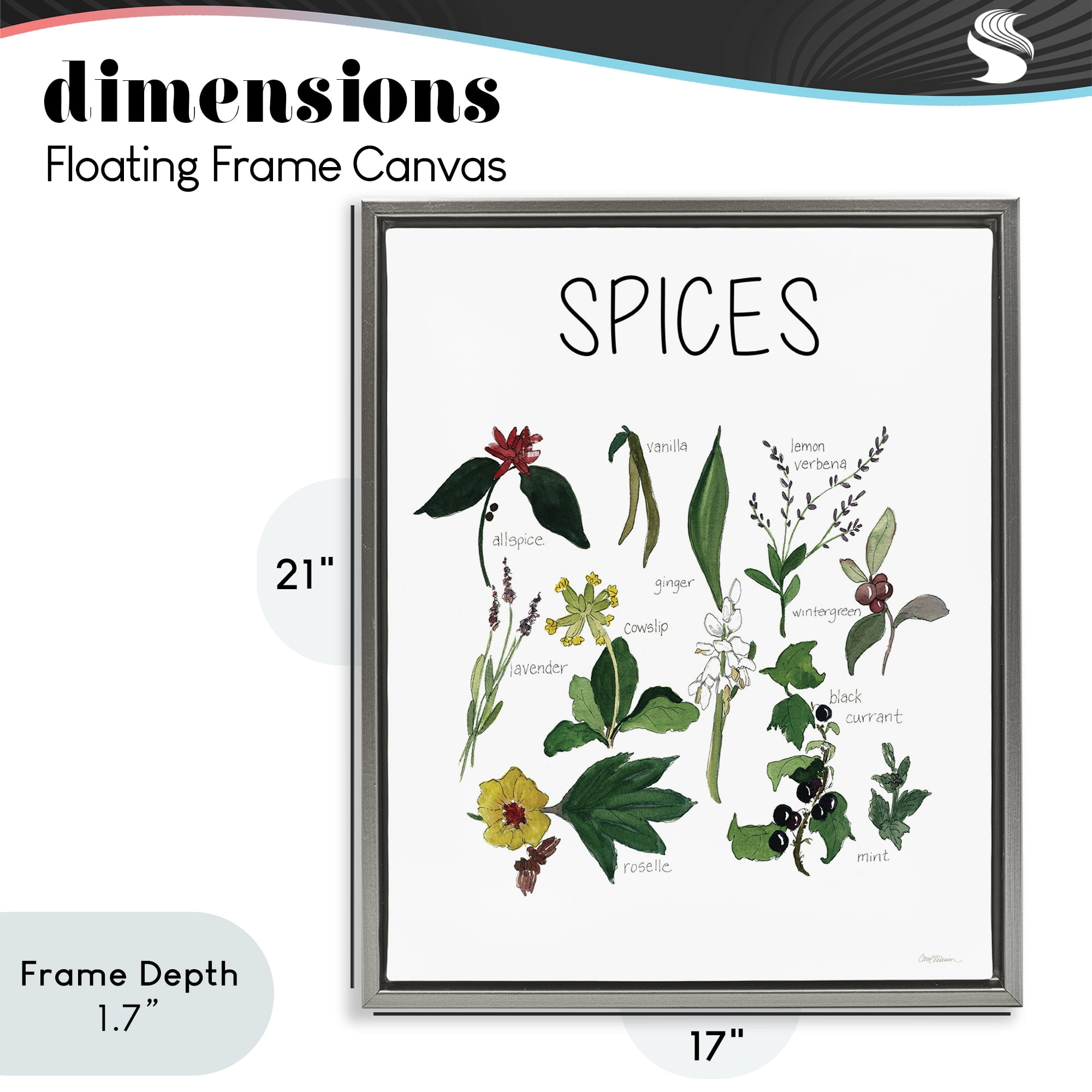 Stupell Industries Spices Identification Chart Gray Framed Floater Canvas Wall Art, design by Carol Robinson