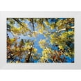 thumbnail image 1 of Murdock, Ramona 18x13 White Modern Wood Framed Museum Art Print Titled - Look Up, 1 of 4