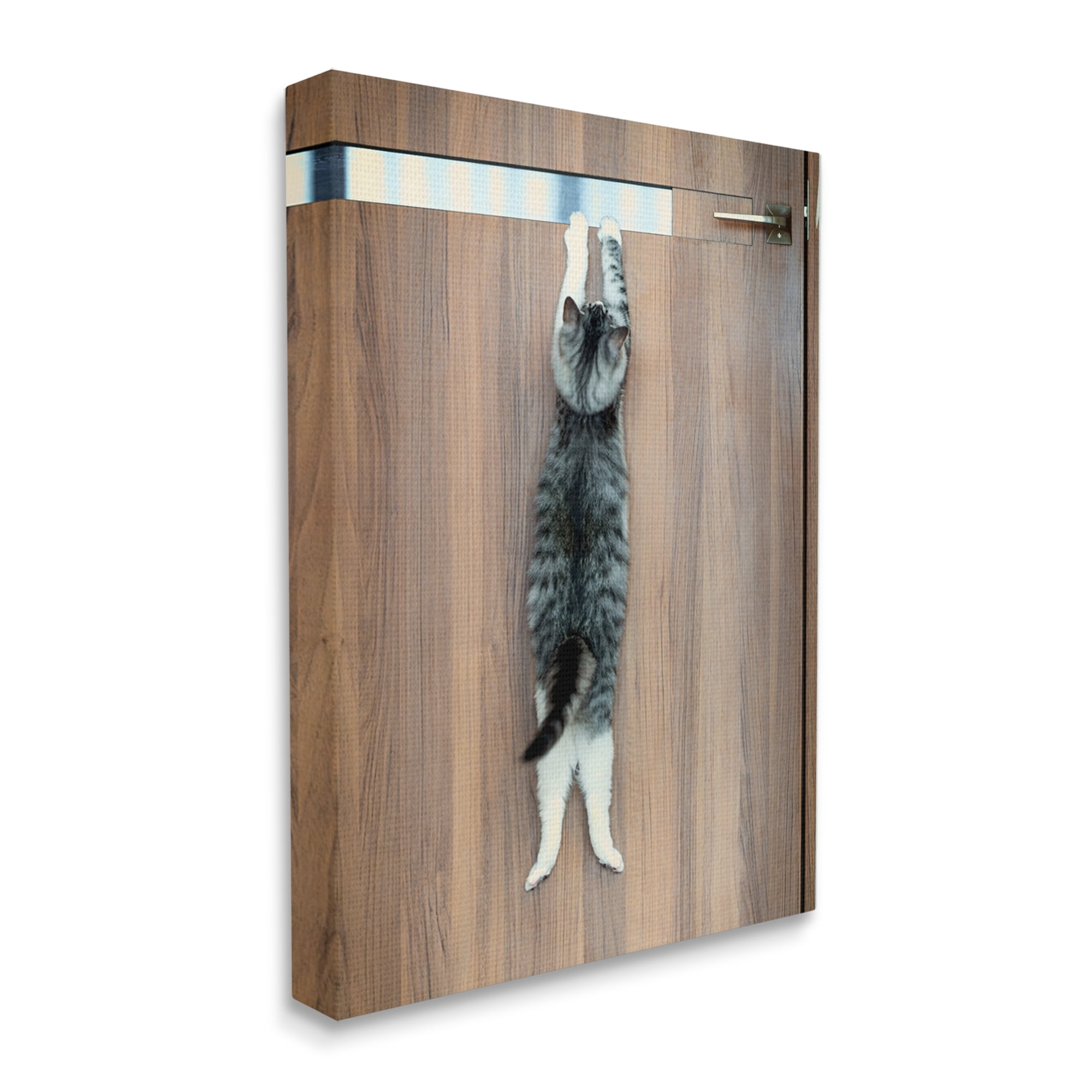 Stupell Industries Desperate Cat Escaping Animals & Insects Photography Gallery Wrapped Canvas Art Print Wall Art, 30 x 40
