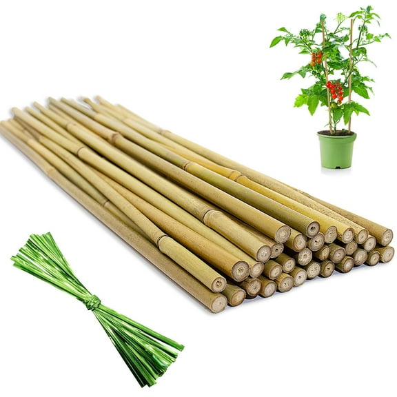 Natural Bamboo Plant Support Stakes 32-Pack 18-Inch with Twist Ties for Flowers Beans Tomatoes Indoor Outdoor