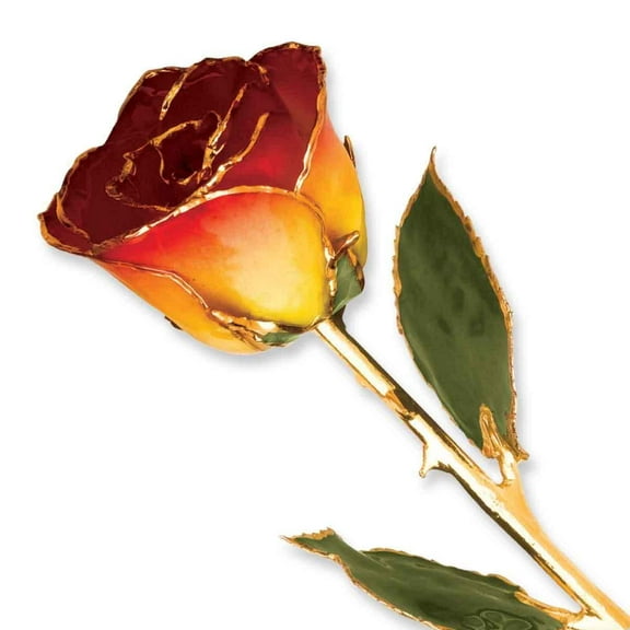 Lacquer Dipped 24K Gold-plated Trim Yellow Red Rose by Versil