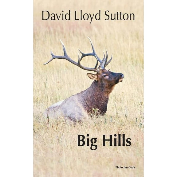 Big Hills (Paperback)