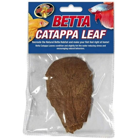 Zoo Med Betta Catappa Leaf [Aquarium Artificial Plants, Aquarium Supplies] 1 count