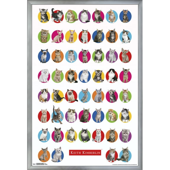 Keith Kimberlin - Kitten Grid Wall Poster, 22.375" x 34", Framed