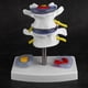 thumbnail image 3 of Modelo de Vértebras Lumbares Humanas, Modelo de Esqueleto Anatómico Humano Modelo de VéRtebras Lumbares con Base Extraíble Fácil de Instalar Ayuda a las Personas a Controlar el Estado de la Columna Ecomeon no, 3 of 6