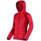 thumbnail image 1 of Regatta - Chaquetilla polar con cremallera y capucha modelo Willowbrook III para mujer (Escarlata/Ponche) Regatta UTRG2386_P, 1 of 1