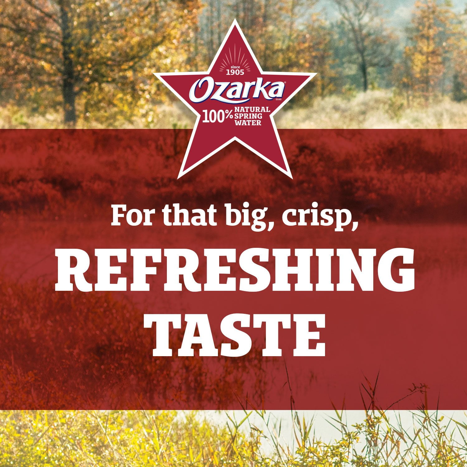 Ozarka Natural Spring Water 20 Fluid Ounce (Pack of 28)