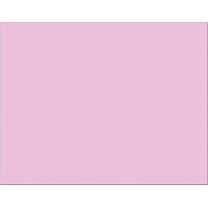 Pacon PAC54681 4-Ply Railroad Board, Pink, 22" x 28", 25 Sheets