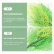 thumbnail image 3 of unbranded Hornwort Artificial Para Decorar Acuarios Con Detalle Natural Y, 3 of 7