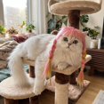 thumbnail image 7 of Colorful Long Hair Pigtail Pet Wig Clothes Accessory for Small Dogs and Cats, Funny Pet Headwear for Halloween Party, Birthday Photo Prop Accessories, 1Pack B, 7 of 7