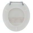 thumbnail image 2 of Ginsey Round Resin Decorative Toilet Seat with Chrome Hinges, Mother of Pearl, 2 of 10