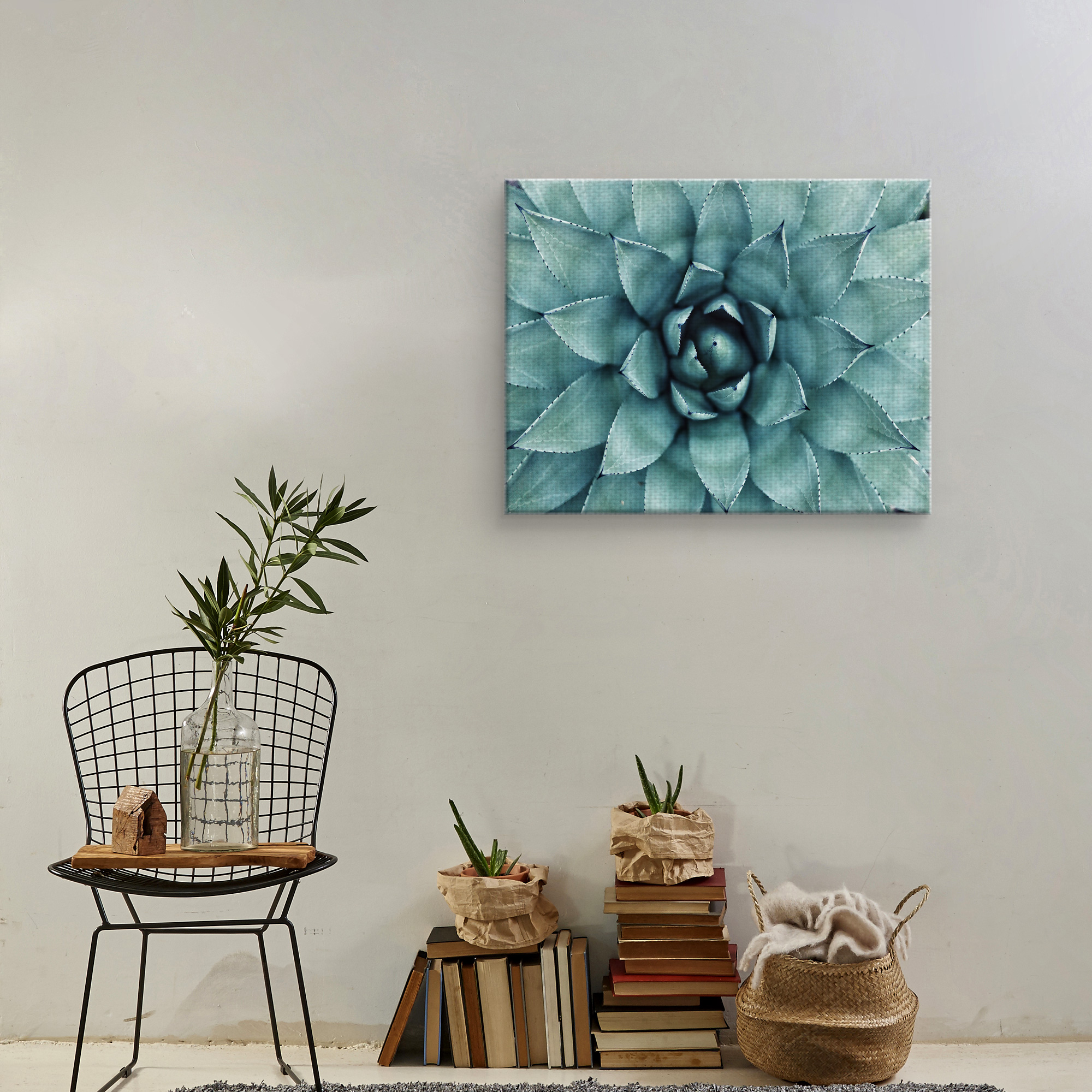 Masterpiece Art Gallery Agave Succulent By Erol Ahmed Canvas Art Print 22" x 28"