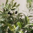 thumbnail image 4 of Artificial Fuax Large Olive Stem 41" Tall, 4 of 4