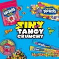 thumbnail image 5 of Nerds Rope Tropical Candy - 26 g / 0.92 oz Ropes - 24 Counts, 5 of 5