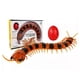 thumbnail image 1 of Centipede Cat Toy, Realistic Simulation Smart Sensing Remote Control Animals Toy, 1 of 5