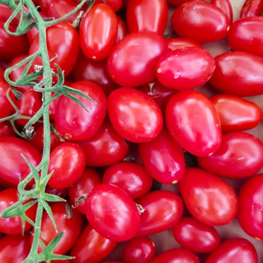 Tomato Garden Seeds - Juliet Hybrid - 100 Seeds - Non-GMO, Vegetable Gardening Seed - AAS Award Winner