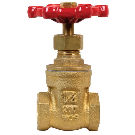 ProLine 1/4 In. FIP x 1/4 In. FIP Brass Low Lead Gate Valve 100-001NL