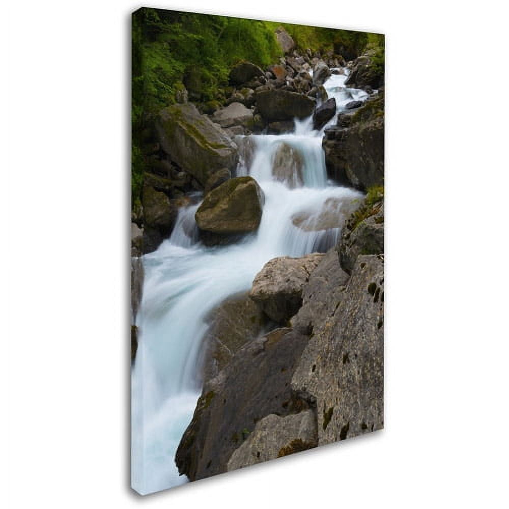 Trademark Fine Art "Wet Rocks" Canvas Art by Philippe Sainte-Laudy