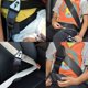 thumbnail image 5 of Correa de cinturón de seguridad negra para coche con hebilla protectora, hebilla ajustable, compatible con adaptador de cinturón de seguridad., 5 of 5