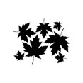 thumbnail image 1 of Leon Online Box Maple Leaf Fall - Plant Decal [12cm Black], 1 of 1