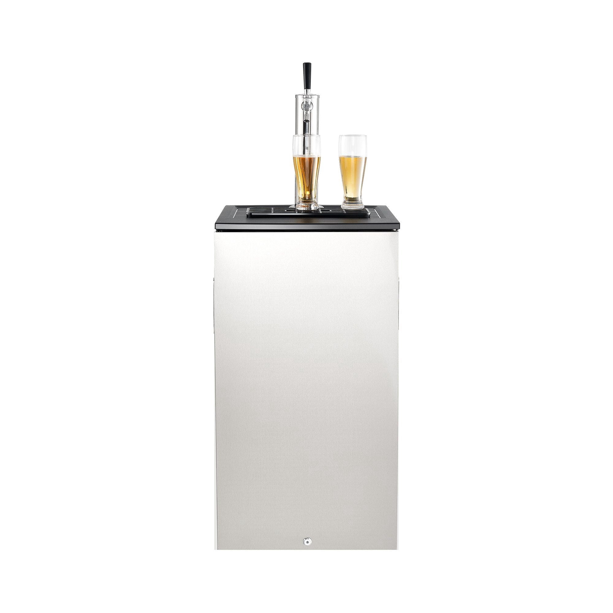 Beer Kegerator, Single Tap Commercial Draft Beer Dispenser for D system, Refrigerator With Shelves, Hold 1 Sixth Keg, 2.5lbs CO2 Tank, 92L