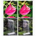 thumbnail image 3 of SUNNYLIFE For DJI Avata 2 Filter Kit ND Filter MCUV Filter, 3 of 5