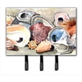 thumbnail image 1 of Carolines Treasures 8619TH68 6 x 9 In. Sea Shells Leash or Key Holder, 1 of 1