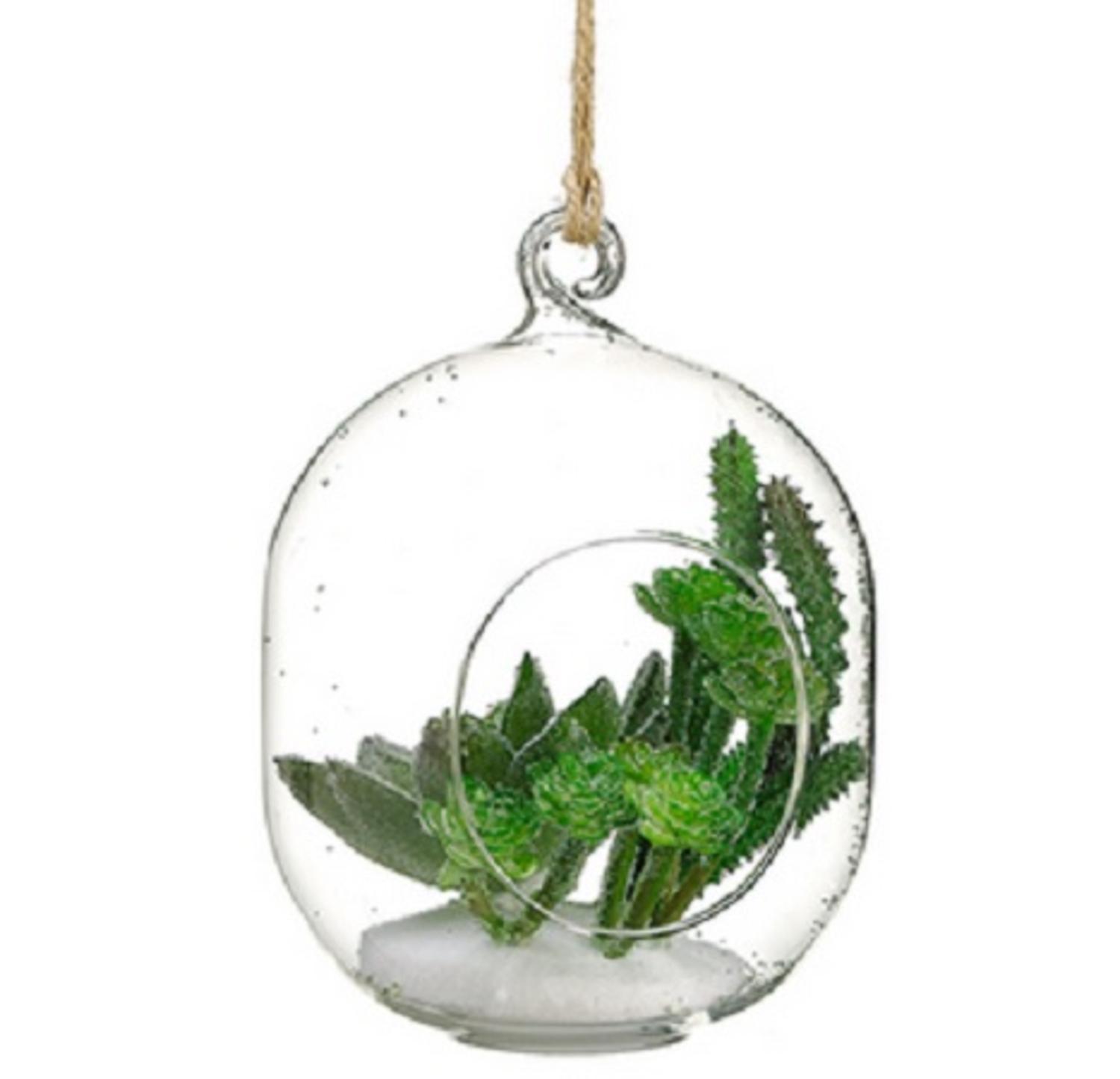6" Artificial Green Succulent in Oblong Orb with Hole Hanging Glass