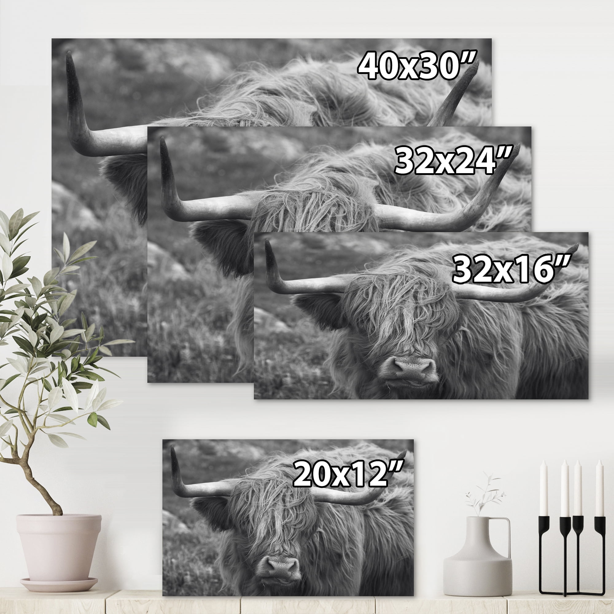 Designart ' Close Up Of Scottish Cow On Moorland I ' Farmhouse Canvas Wall Art Print