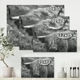 thumbnail image 4 of Designart ' Close Up Of Scottish Cow On Moorland I ' Farmhouse Canvas Wall Art Print, 4 of 4
