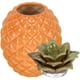 thumbnail image 5 of Ceramic de forma de piña jarro de almacenamiento de té recipiente de almacenamiento de cerámica decoración del hogar, 5 of 5