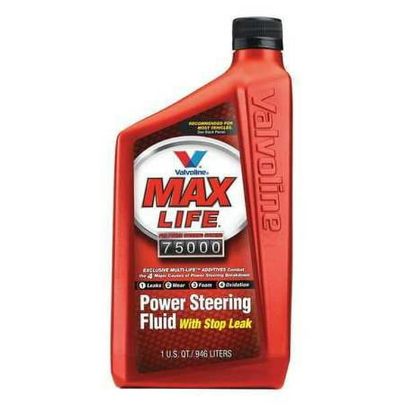 GM Power Steering Fluid