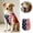 Blue, variant on Half-and-Half Pet Tank Top with American Flag Design Breathable Mesh Sleeveless Shirt Red White Blue Stars and Stripes Pet Clothinfg for Small Medium Dogs and Cats 4th of July Summer and Daily Wear