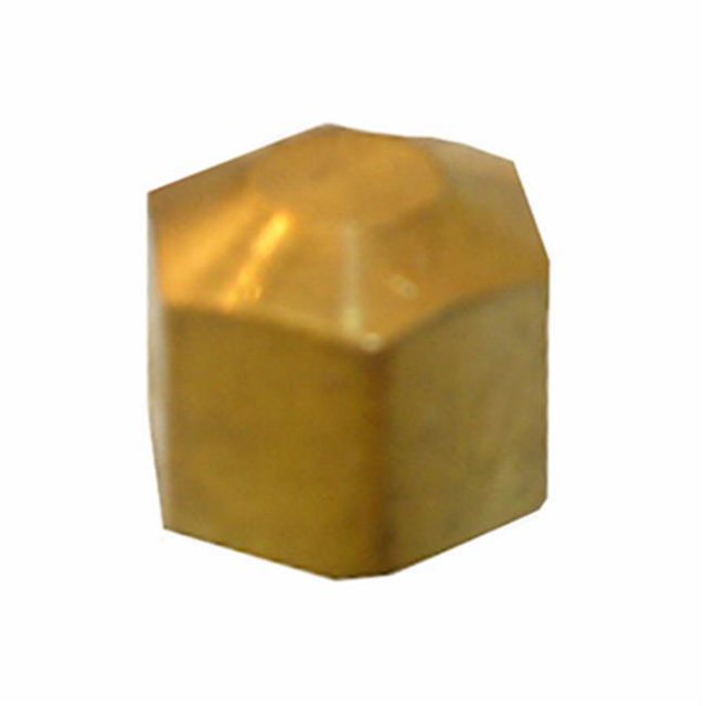 0.25 in. Brass Compression Cap