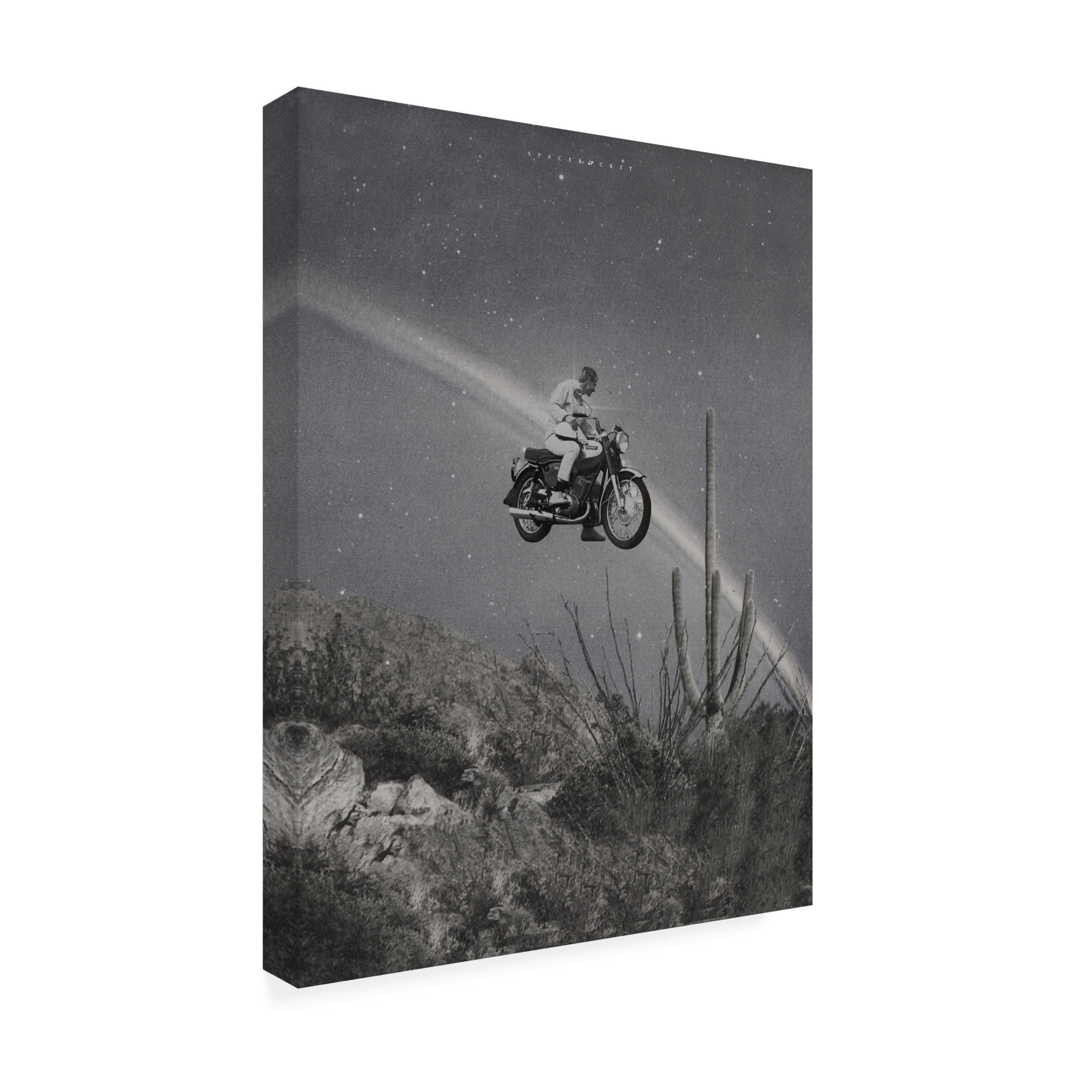 Trademark Fine Art spacerocket art  369 Canvas Wall Art