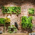 thumbnail image 2 of Artificial Faux Plant Succulent Wall Art, 2 of 8