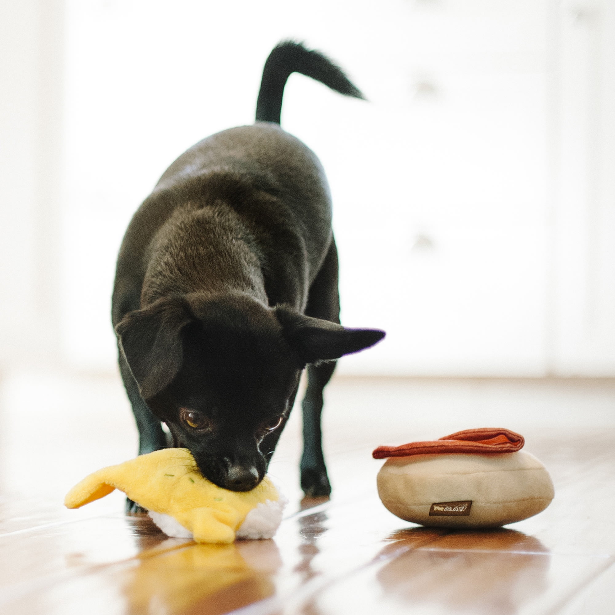 Barking Brunch Collection: Benny’s Benedict Pet Chew Toy